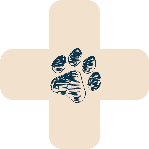 croix beige patte de chien bleue