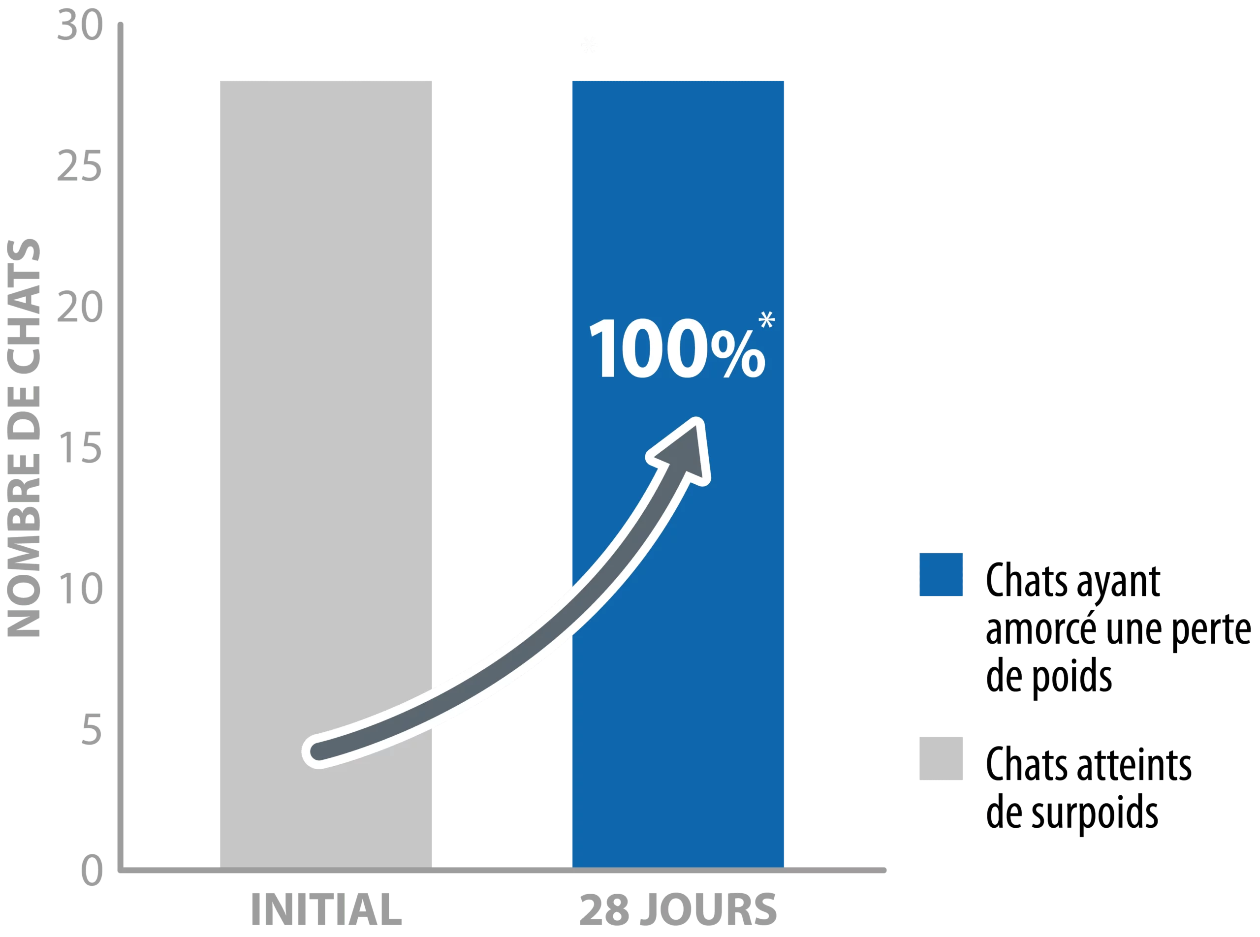 graph_protect_chat_obesite