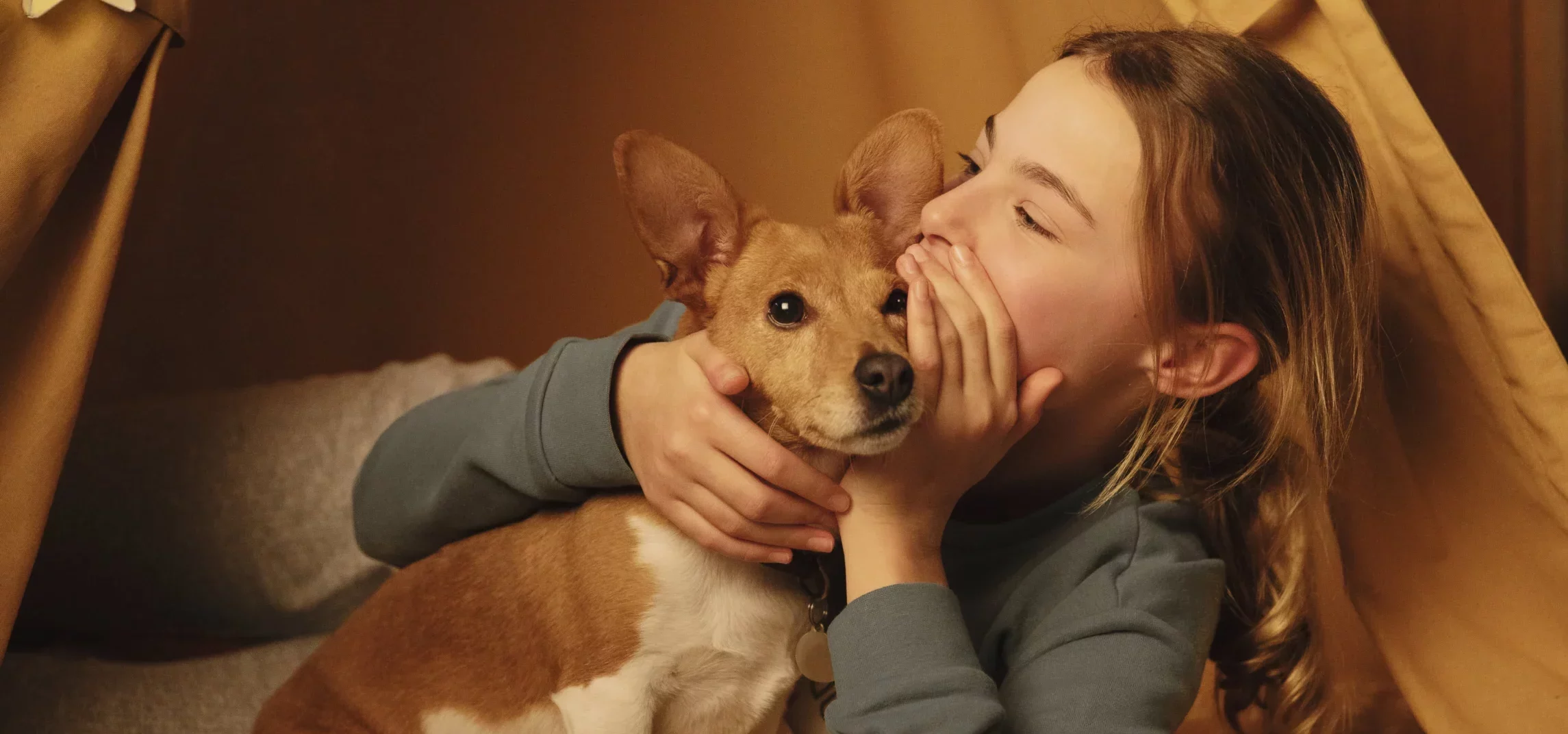 croquettes francaises issues de la recherche veterinaire