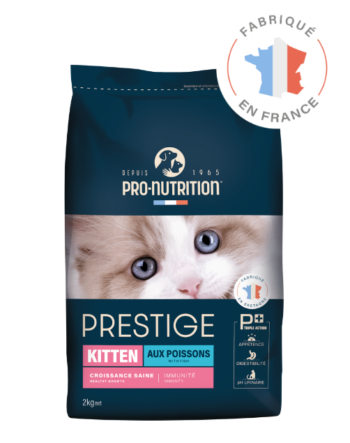 prestige chatons