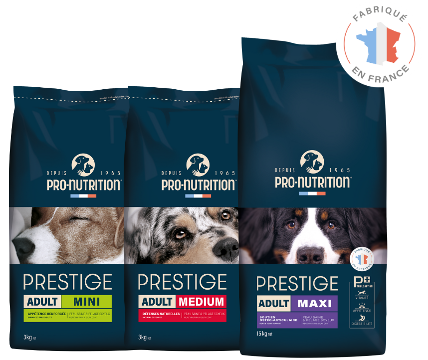 prestige chiens adultes