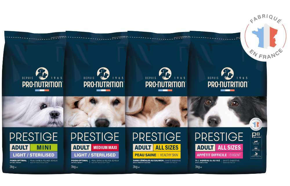 prestige chiens specialites