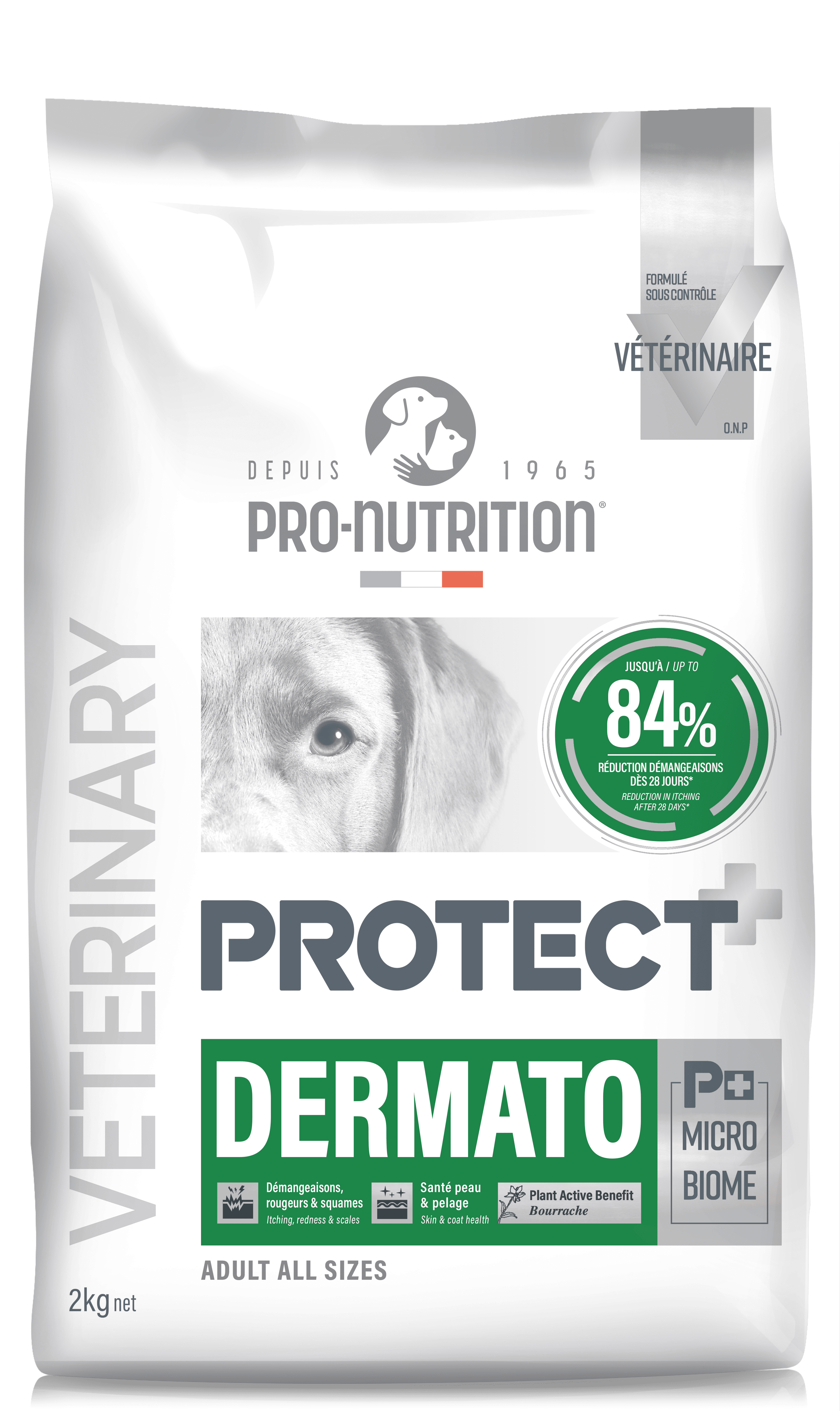 pronutrition_protect_chien_dermato