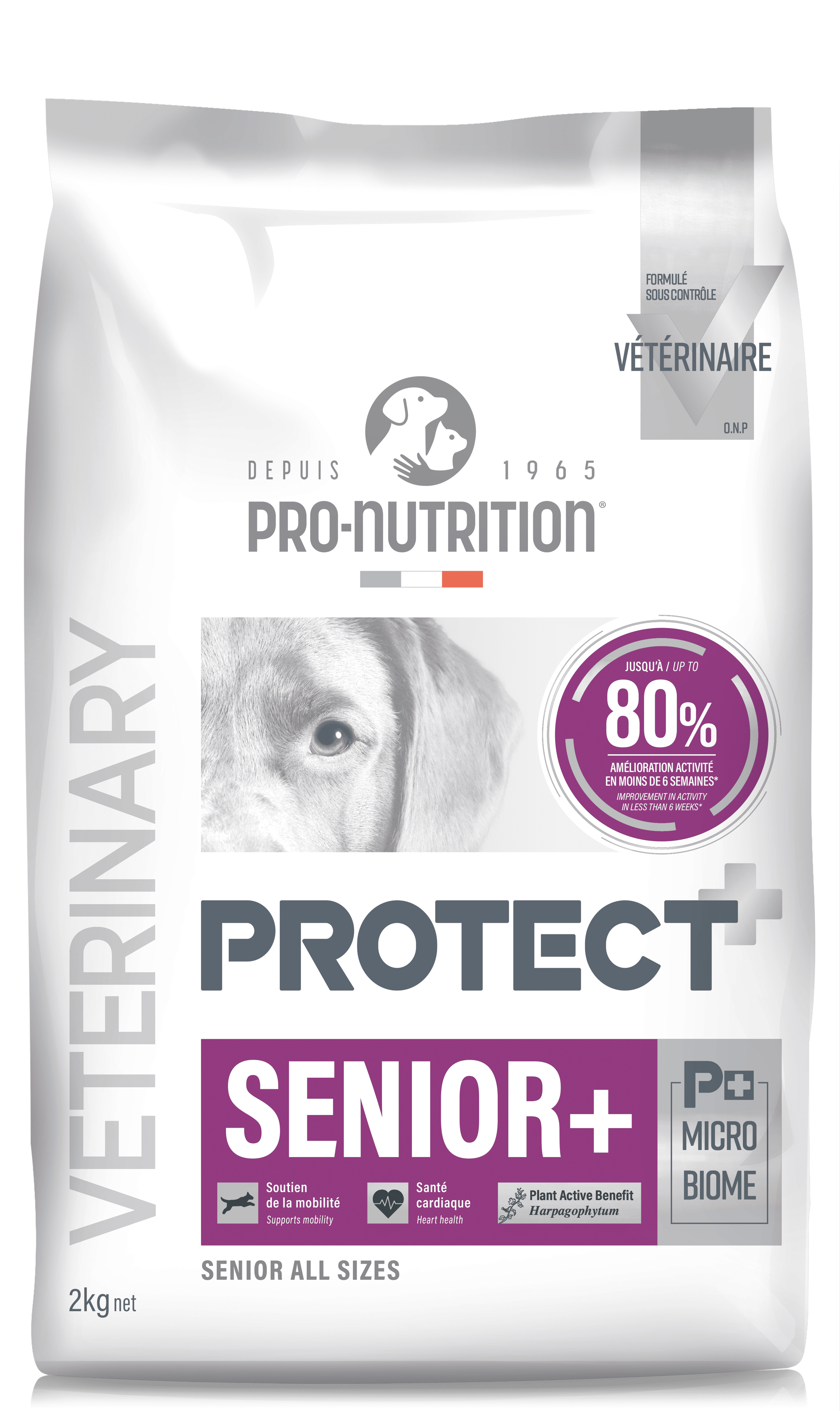 pronutrition_protect_chien_senior