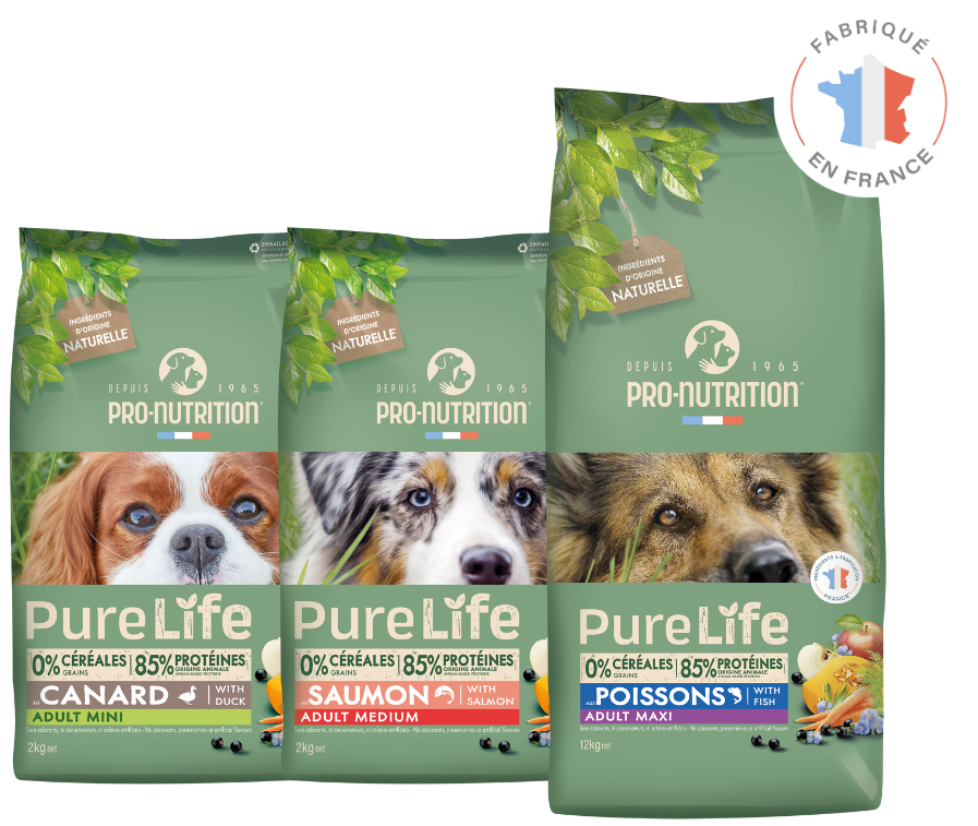 pure life chiens adultes