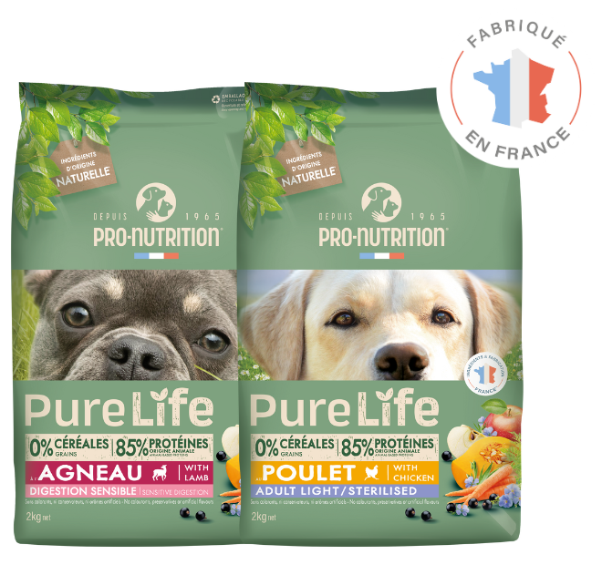 pure life chiens specialites